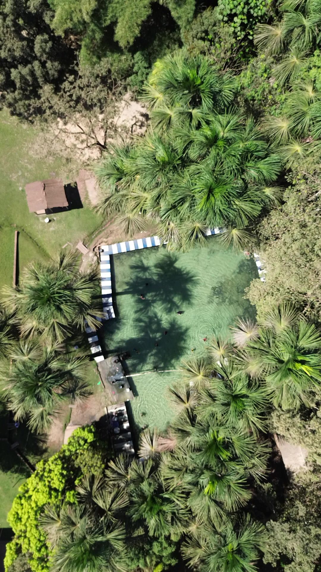 Piscina natural