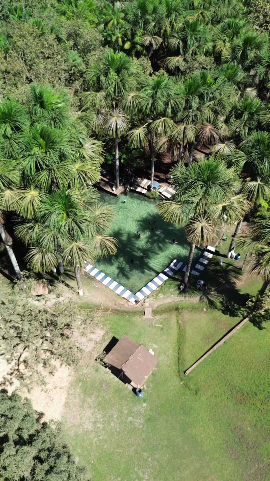 Piscina natural entre palmeiras